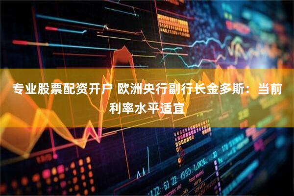 专业股票配资开户 欧洲央行副行长金多斯：当前利率水平适宜