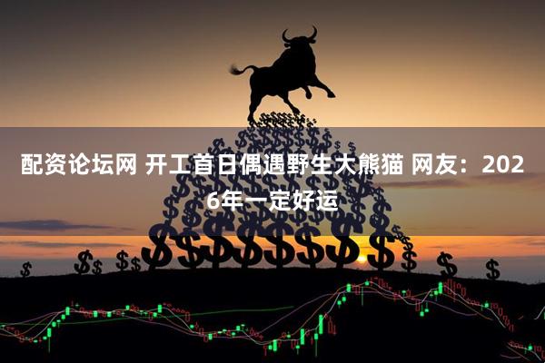配资论坛网 开工首日偶遇野生大熊猫 网友：2026年一定好运