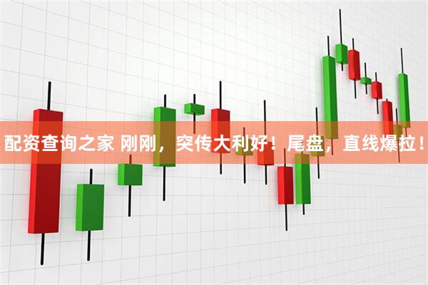 配资查询之家 刚刚，突传大利好！尾盘，直线爆拉！